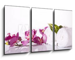 Obraz 3D tdln - 90 x 50 cm F_BS17627044 - wellness