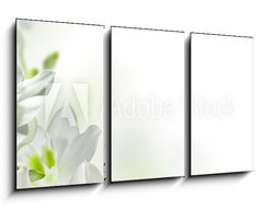 Obraz 3D tdln - 90 x 50 cm F_BS17740159 - flowers