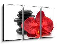 Obraz   Stacked black spa stones with silk orchid over white background, 90 x 50 cm