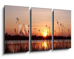 Obraz 3D tdln - 90 x 50 cm F_BS18109096 - Abendhimmel im Schilf