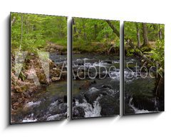 Obraz 3D tdln - 90 x 50 cm F_BS182860867 - Whitewater Stream