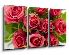 Obraz 3D tdln - 90 x 50 cm F_BS18403490 - Bunch of roses