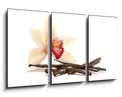 Obraz 3D tdln - 90 x 50 cm F_BS18845882 - Orchidee