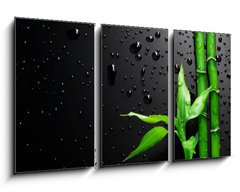 Obraz 3D tdln - 90 x 50 cm F_BS18901258 - Bamboo over Black