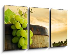 Obraz 3D tdln - 90 x 50 cm F_BS19328212 - Wine barrel and grape with vineyard in background