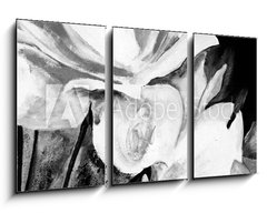 Obraz 3D třídílný - 90 x 50 cm F_BS197308949 - lbild: Weie Rosen