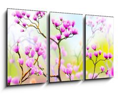 Obraz 3D tdln - 90 x 50 cm F_BS197644555 - Panoramik iek Manzaras