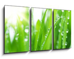 Obraz 3D tdln - 90 x 50 cm F_BS19883892 - Fresh Green Grass