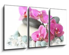 Obraz 3D tdln - 90 x 50 cm F_BS19964009 - Orchid laying on stones