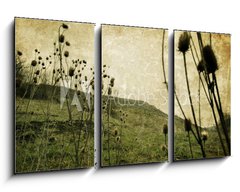 Obraz 3D tdln - 90 x 50 cm F_BS20013462 - Vintage nature