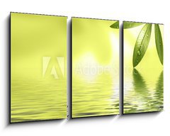 Obraz 3D třídílný - 90 x 50 cm F_BS20045155 - Wellness Motiv mit viel Freiraum