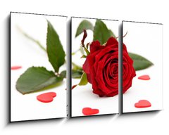 Obraz 3D tdln - 90 x 50 cm F_BS2008228 - red rose - erven re