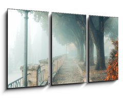 Obraz   A misty morning autumn landscape, an old park foggy alley. Great oak tree park alley, 90 x 50 cm