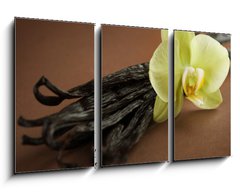 Obraz 3D tdln - 90 x 50 cm F_BS20326505 - Beautiful Vanilla