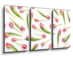 Obraz 3D tdln - 90 x 50 cm F_BS205206437 - Pink tulip pattern on the white bacjkground.