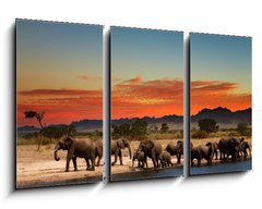Obraz   Herd of elephants in african savanna, 90 x 50 cm