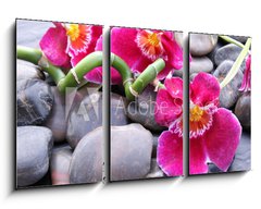 Obraz 3D tdln - 90 x 50 cm F_BS20850599 - Orchideenbl ten auf Kieselsteinen