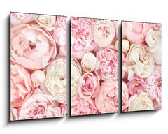 Obraz   Summer blossoming delicate rose on blooming flowers festive background, pastel and soft bouquet floral card, 90 x 50 cm