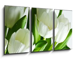 Obraz 3D tdln - 90 x 50 cm F_BS21581948 - White Tulips