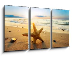 Obraz 3D tdln - 90 x 50 cm F_BS21858060 - Starfish on the beach