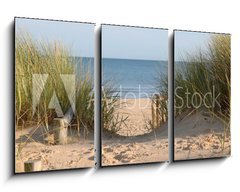 Obraz 3D tdln - 90 x 50 cm F_BS21978364 - Beach Path Through Dunes