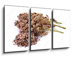 Obraz   sorghum isolated on white background, 90 x 50 cm