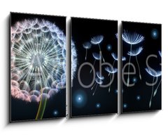 Obraz 3D tdln - 90 x 50 cm F_BS220799750 - Pusteblumen und Glhwrmchen