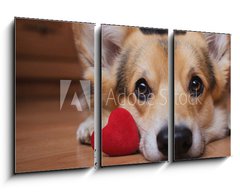 Obraz 3D tdln - 90 x 50 cm F_BS222488187 - A dog with a red heart. Valentine`s Day.