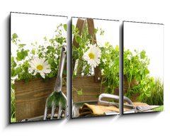 Obraz 3D tdln - 90 x 50 cm F_BS22249018 - Fresh herbs in wooden box on grass - erstv byliny v devn krabici na trv