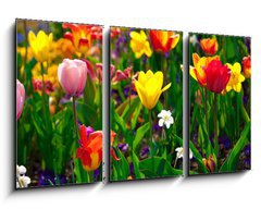 Obraz 3D tdln - 90 x 50 cm F_BS22368524 - Sea of flowers