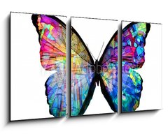 Obraz   multicolored butterfly isolated on white background, 90 x 50 cm