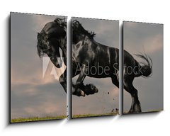 Obraz 3D tdln - 90 x 50 cm F_BS22600957 - black friesian stallion gallop in sunset - ern frsk hebec cval v zpadu slunce