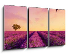 Obraz 3D tdln - 90 x 50 cm F_BS226739623 - Lavender field rows at sunrise and hot air baloon France Provence - Levandulov pole ady pi vchodu slunce a horkovzdun baln Francie Provence