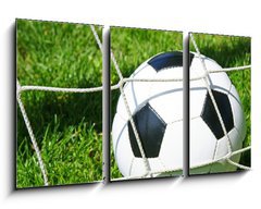 Obraz 3D tdln - 90 x 50 cm F_BS22690758 - Fu ball Tor / Soccer Goal - Fu koule Tor / fotbalov gl