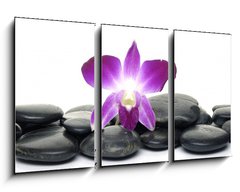 Obraz   Purple orchid and black stones, 90 x 50 cm