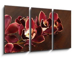 Obraz   Lay down tiger s violet orchids on board, 90 x 50 cm