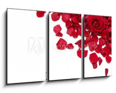 Obraz 3D tdln - 90 x 50 cm F_BS2282012 - red roses