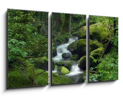 Obraz 3D tdln - 90 x 50 cm F_BS23470543 - Mossy waterfall