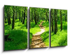 Obraz 3D tdln - 90 x 50 cm F_BS23843202 - green forest