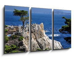 Obraz 3D tdln - 90 x 50 cm F_BS23885675 - The Lone Cypress in Pebble Beach, 17 Mile Drive, Monterey - Lone Cypress v Pebble Beach, 17 Mile Drive, Monterey