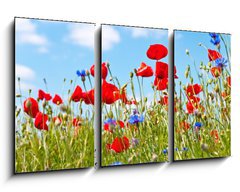 Obraz 3D tdln - 90 x 50 cm F_BS23892444 - blumenwiese