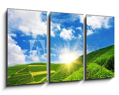 Obraz 3D tdln - 90 x 50 cm F_BS23924390 - Beautiful pattern of bright, green tea garden on the hill - Krsn vzor svtl zelen zahrady na kopci