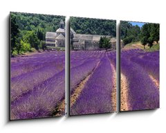 Obraz 3D tdln - 90 x 50 cm F_BS23986776 - France - Paca - Abbaye de Senanque