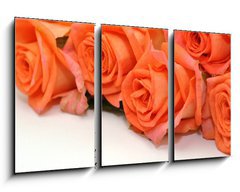 Obraz 3D tdln - 90 x 50 cm F_BS24150167 - Rosen