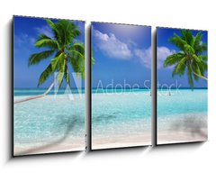 Obraz   Traumstrand in den Tropen mit trkisem Meer, Kokosnusspalmen und feinem Sand, 90 x 50 cm