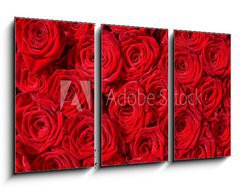 Obraz 3D tdln - 90 x 50 cm F_BS24548244 - Rote Rosen, Symbol f r Liebe, Rosenstrau 