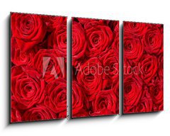 Obraz 3D tdln - 90 x 50 cm F_BS24548244 - Rote Rosen, Symbol f r Liebe, Rosenstrau  - Rote Rosen, symbol Liebe, Rosenstrau