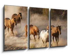 Obraz   wild horses running, 90 x 50 cm