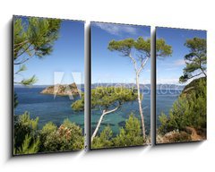 Obraz 3D tdln - 90 x 50 cm F_BS24971446 - PINS MARITIMES, PLAGE DE LA PALUD, ROCHER DU RASCAS, PORT-CROS, - PINS MARITIMES, PLACE DE LA PALUD, ROCHER DU RASCAS, PORT