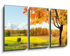 Obraz   Autumn at the morning park, 90 x 50 cm